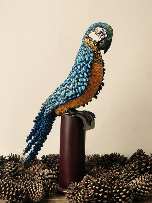 Blue-and-Gold Macaw