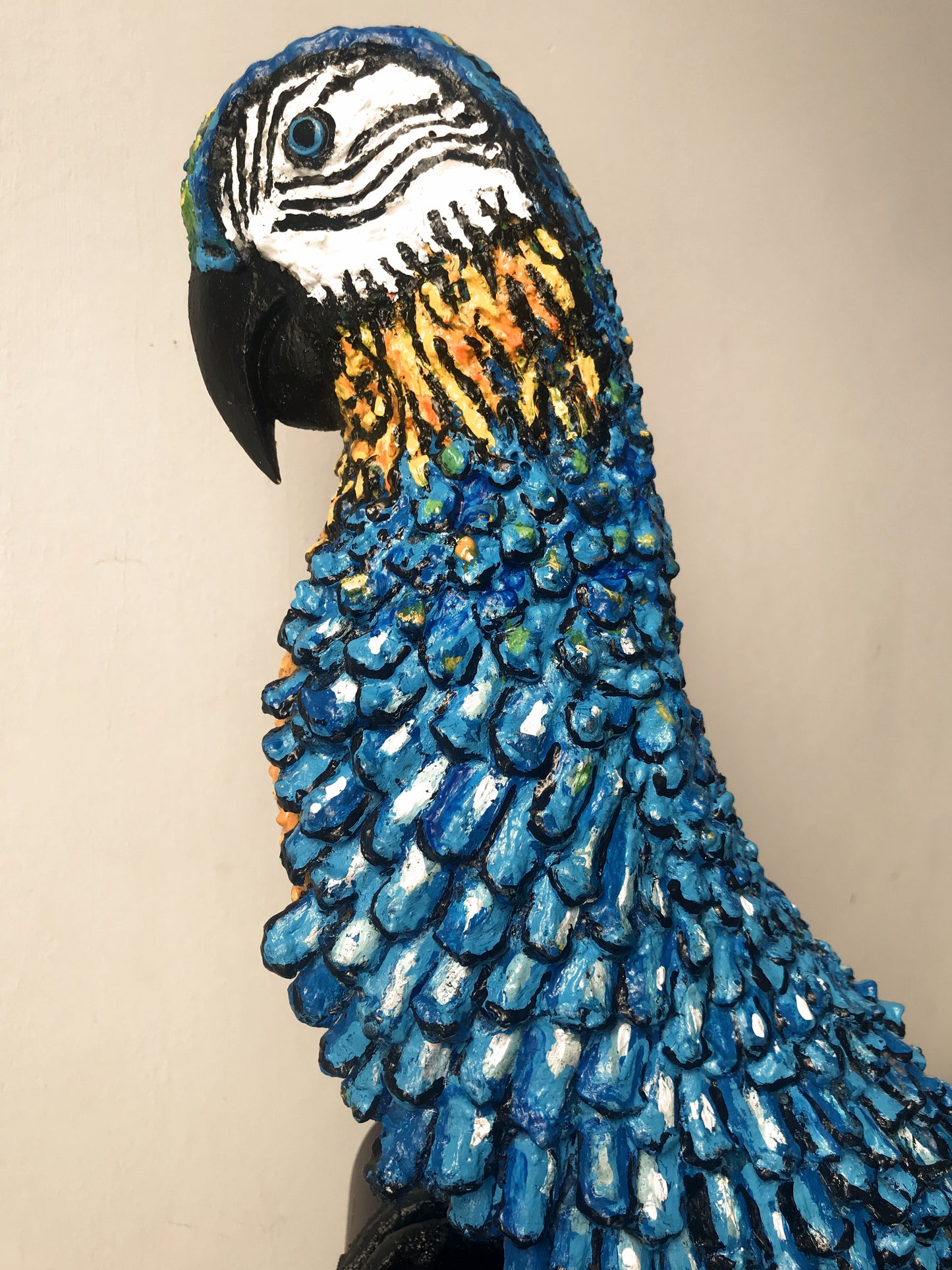 Blue-and-Gold Macaw